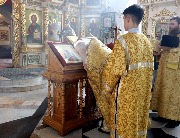 IMG_4861 (2).JPG